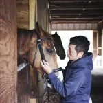 Common Causes of Sudden Death in Horses