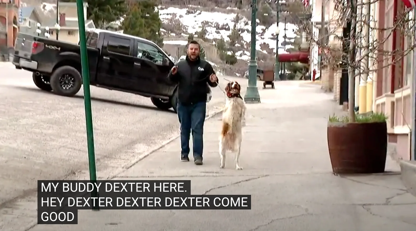 Dexter the Dog