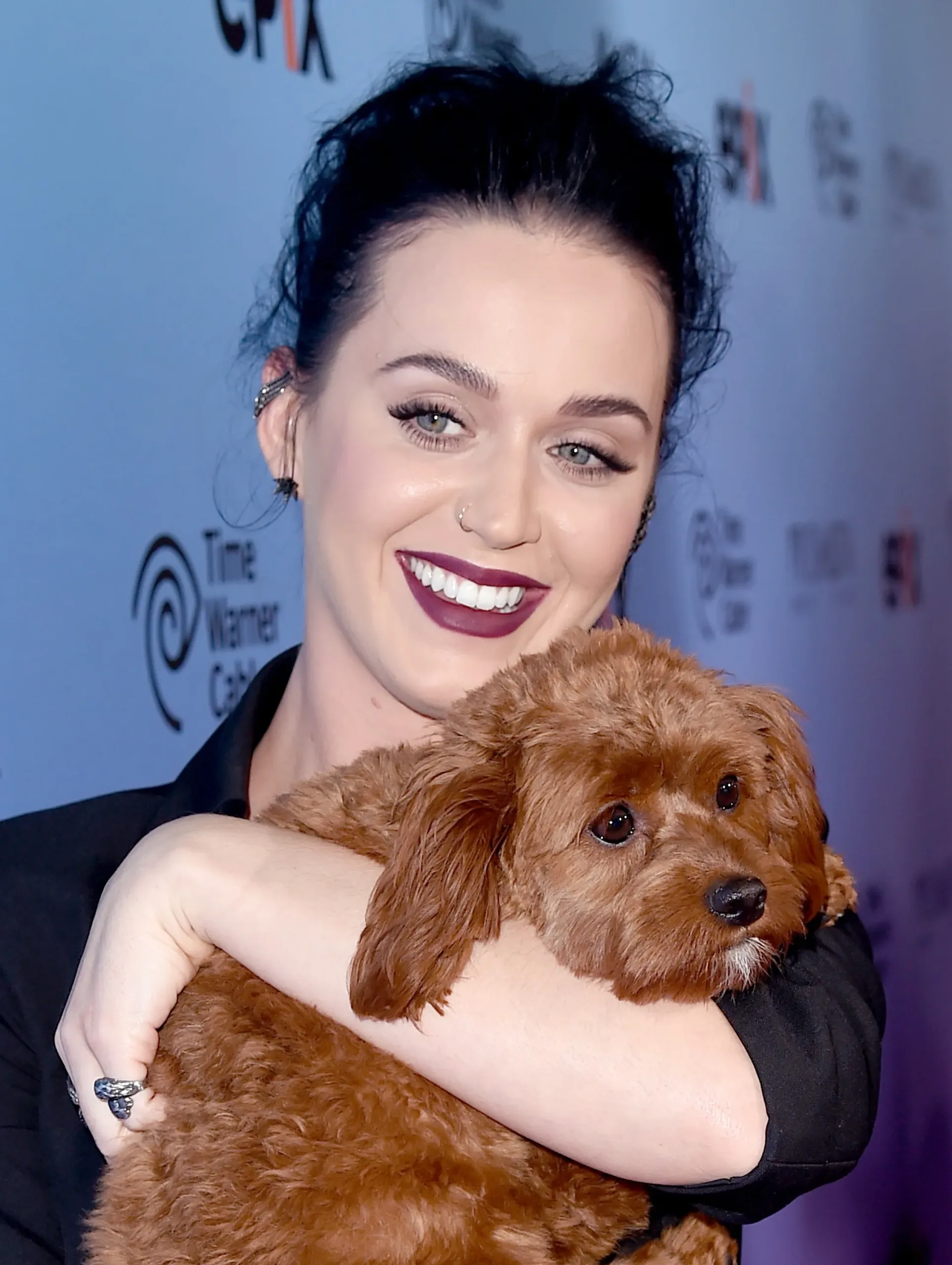 Celebrities and Their Dogs: 30 Stars Who Absolutely Adore Their Pups