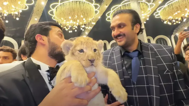 YouTuber Who Illegally Owned a Lion Cub Receives a Major Punishment