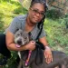 Nola the Pit Bull Mix: A Lifesaver for a Grieving Widow