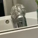 Sink Frog GOES viral