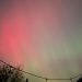 Northern lights tonight