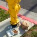 abandoned puppy tied to fire hydrant